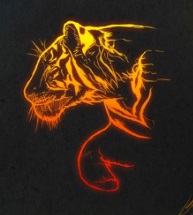 author-avatar