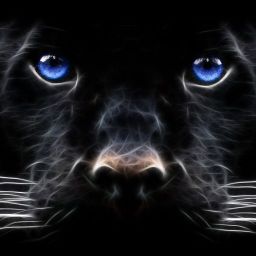 author-avatar