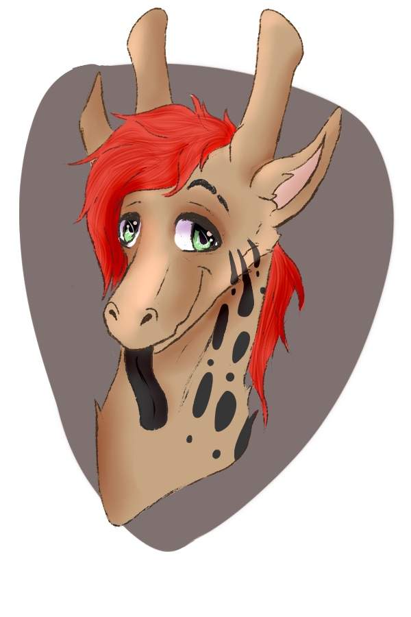 author-avatar