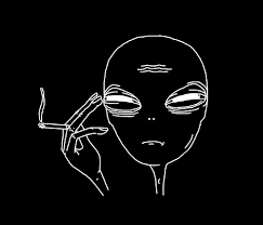 author-avatar