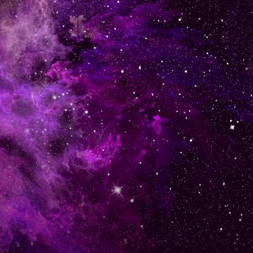 author-avatar