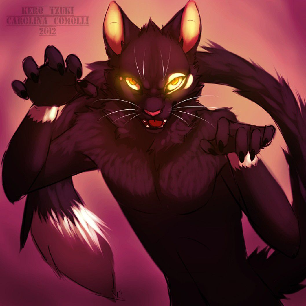 author-avatar
