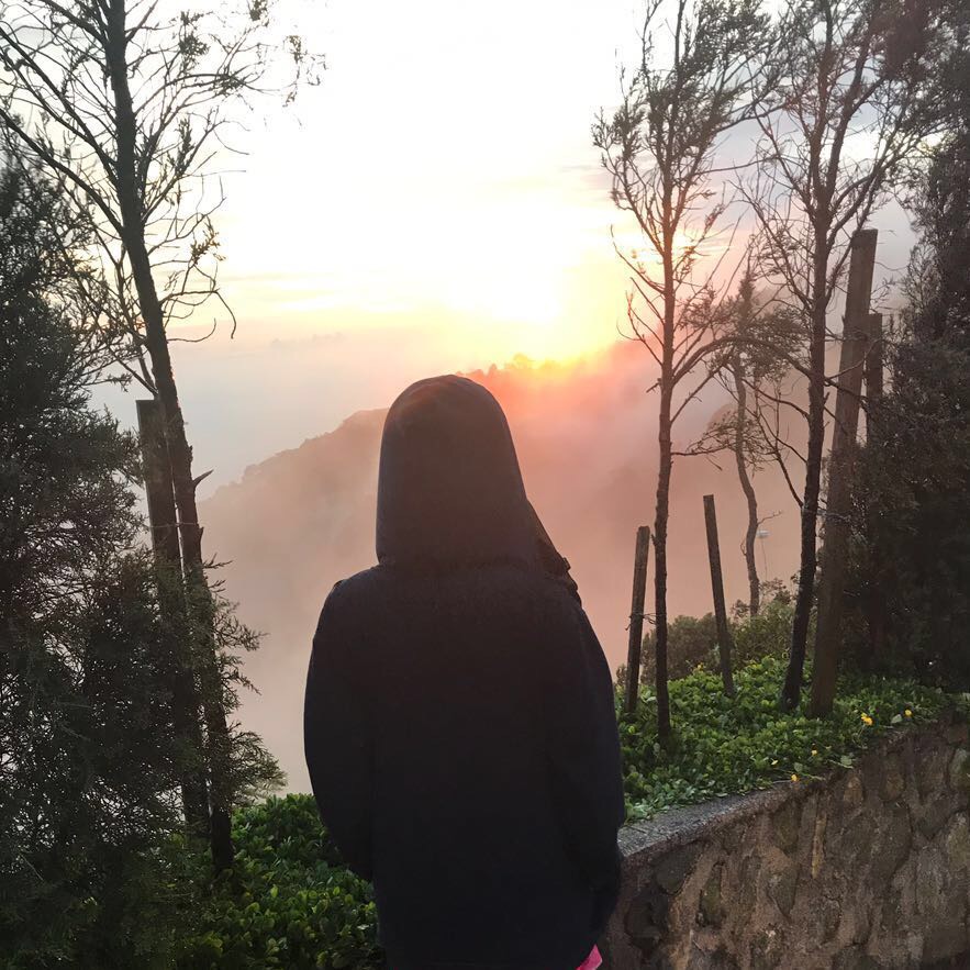 author-avatar