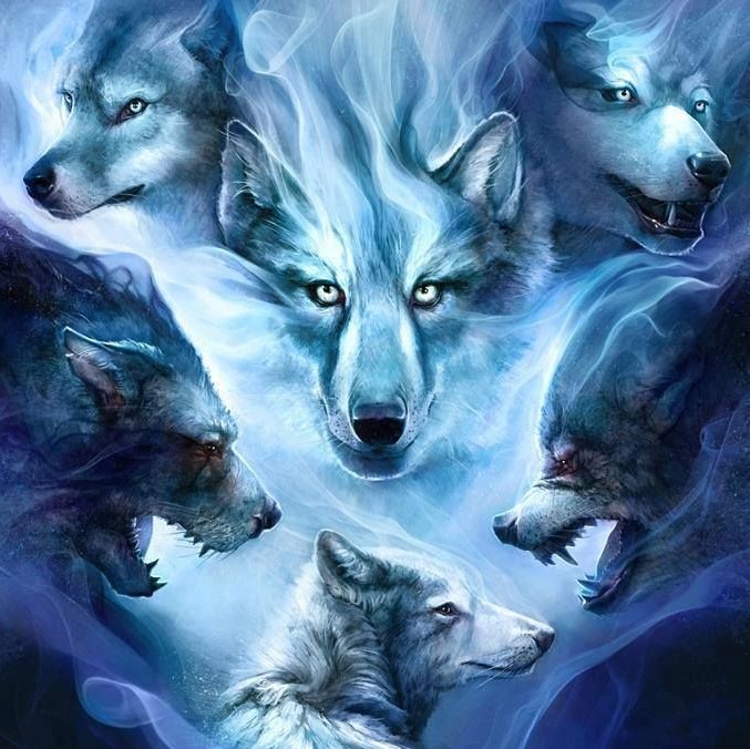 author-avatar