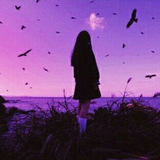 author-avatar