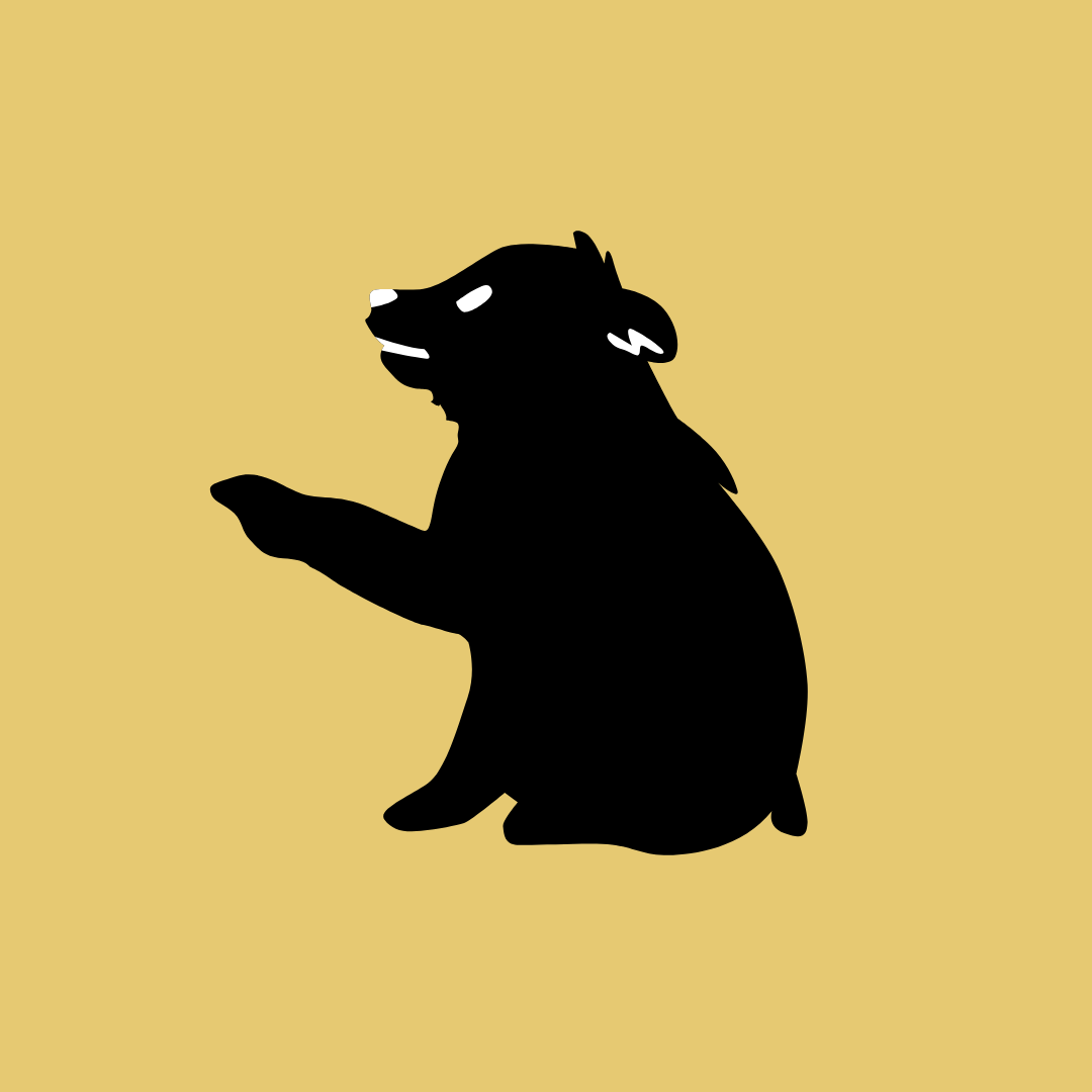 author-avatar