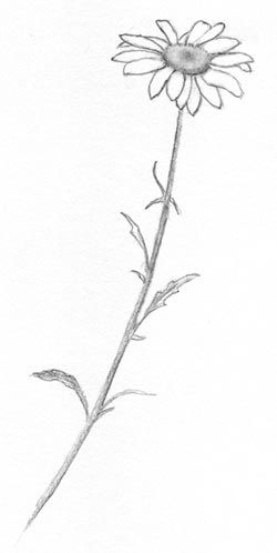 author-avatar