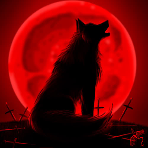 author-avatar