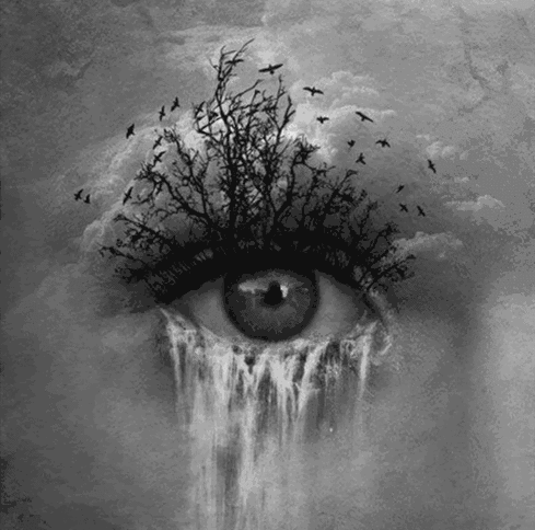 author-avatar