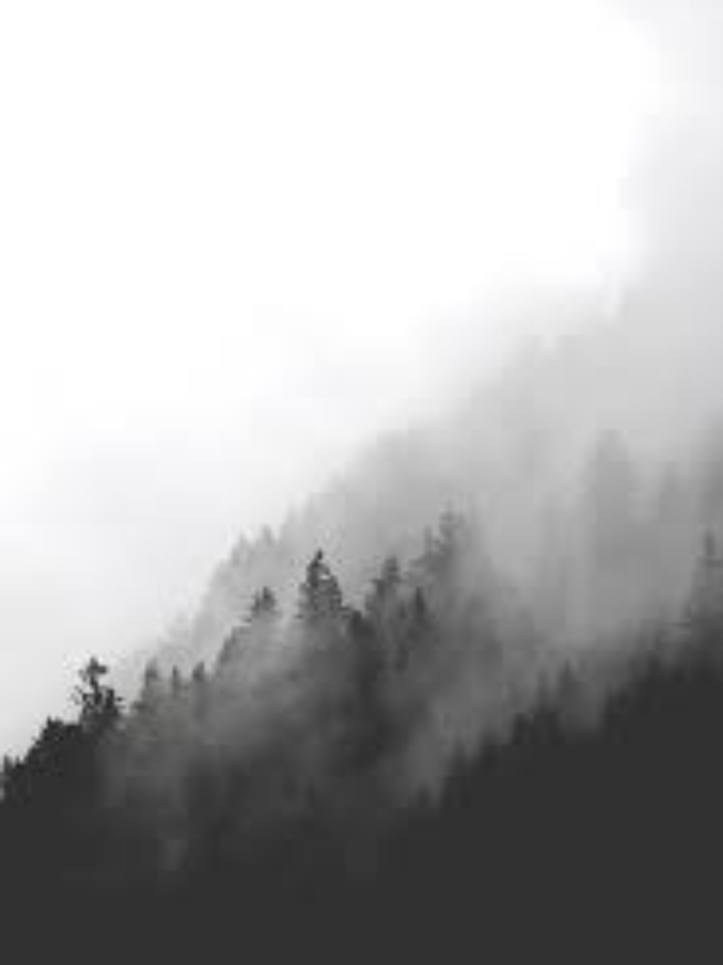 author-avatar