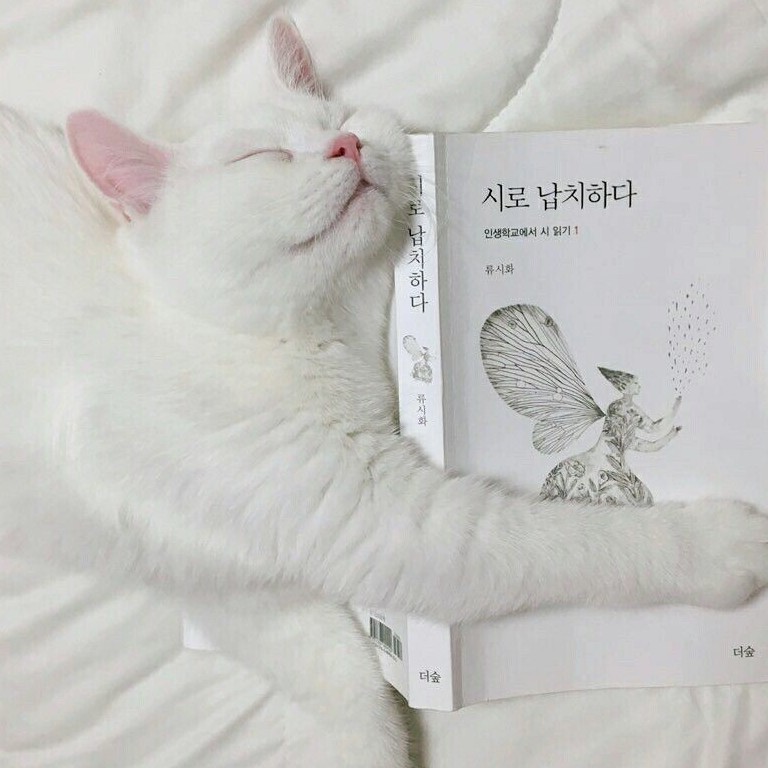 author-avatar