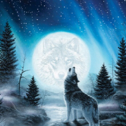 author-avatar