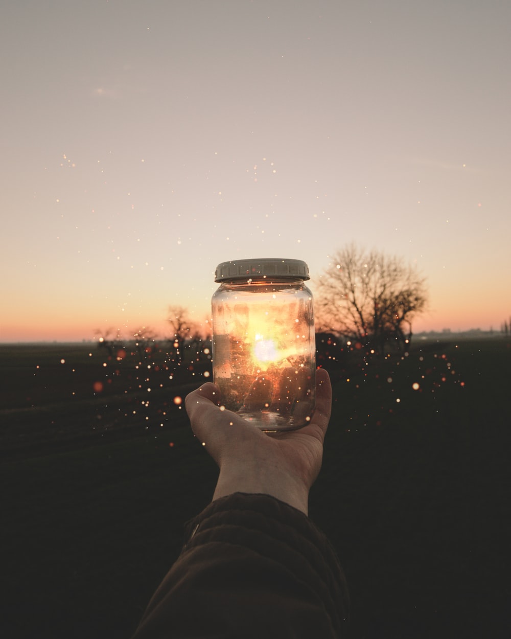 author-avatar