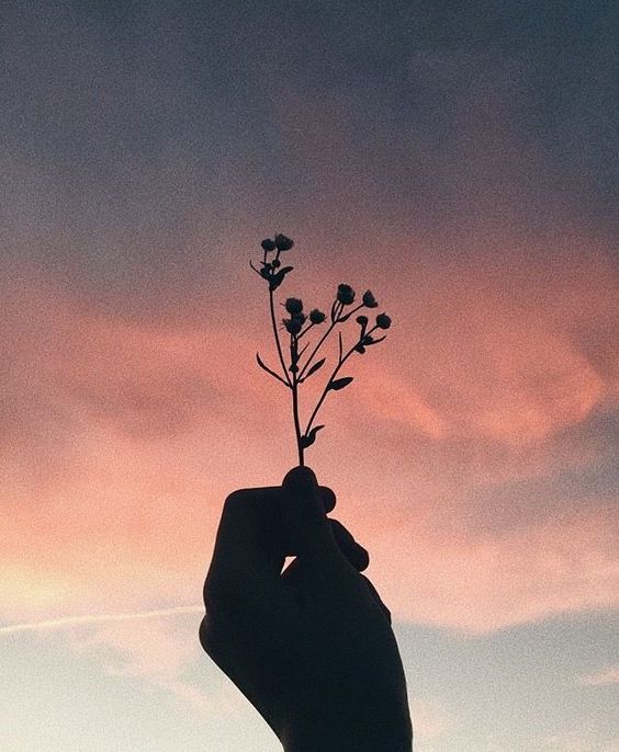 author-avatar