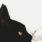author-avatar