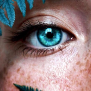 author-avatar