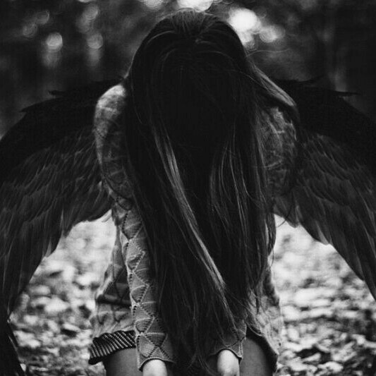 author-avatar