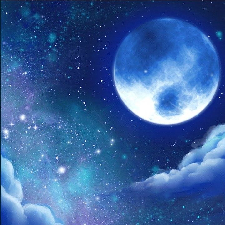 author-avatar