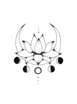 author-avatar