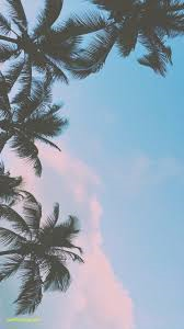 author-avatar