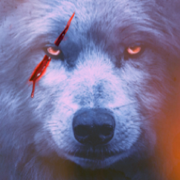 author-avatar
