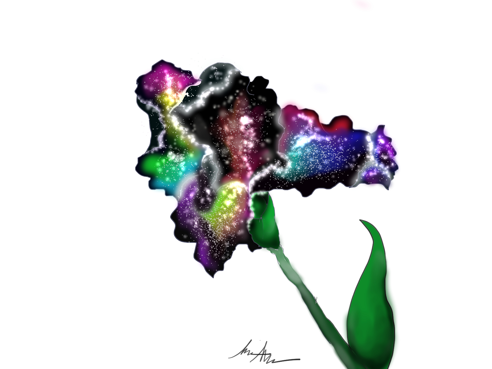 author-avatar