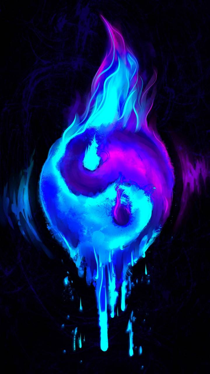 author-avatar