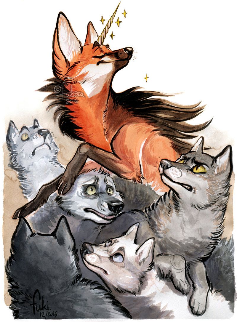 author-avatar