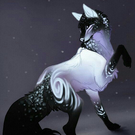 author-avatar