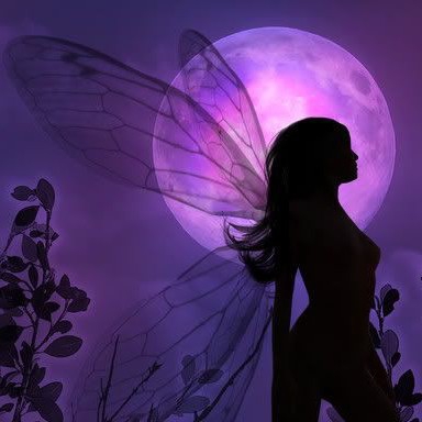 author-avatar