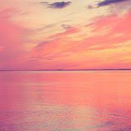 author-avatar