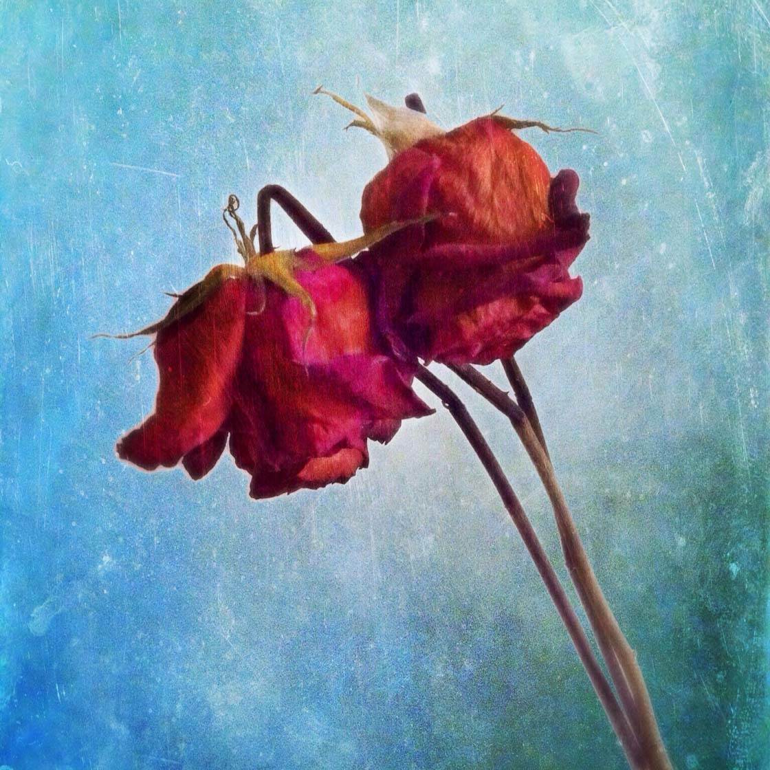 author-avatar