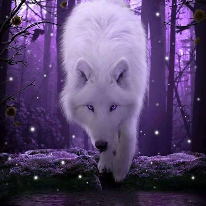 author-avatar