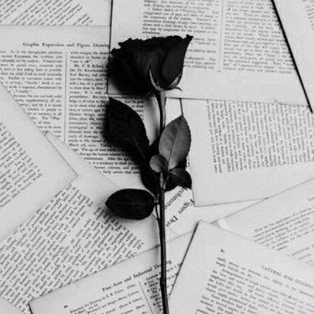author-avatar