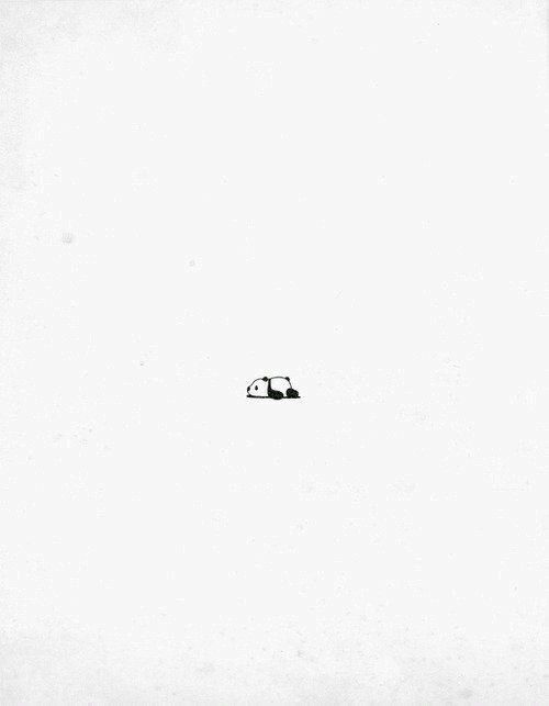 author-avatar