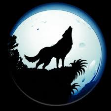 author-avatar