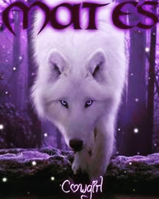 author-avatar