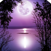 author-avatar