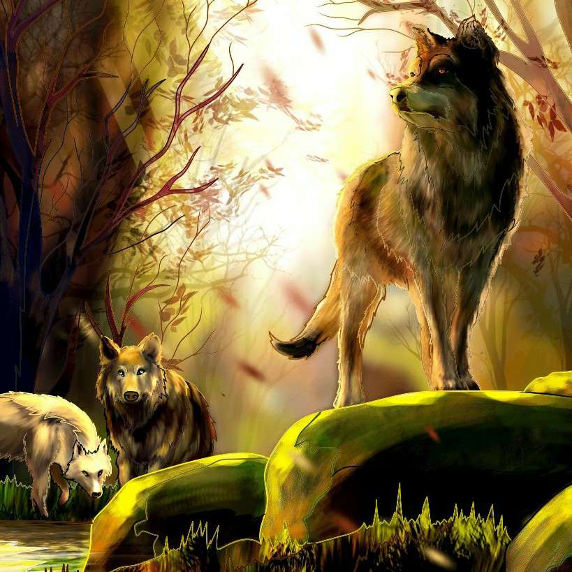 author-avatar
