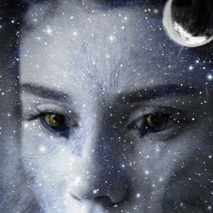 author-avatar