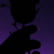 author-avatar