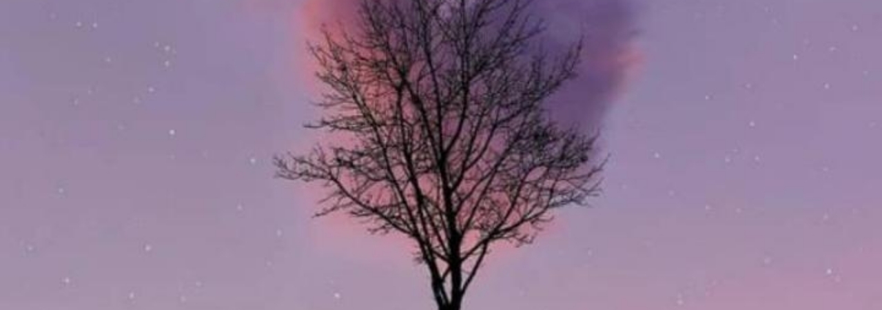 author-avatar