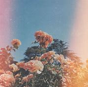 author-avatar