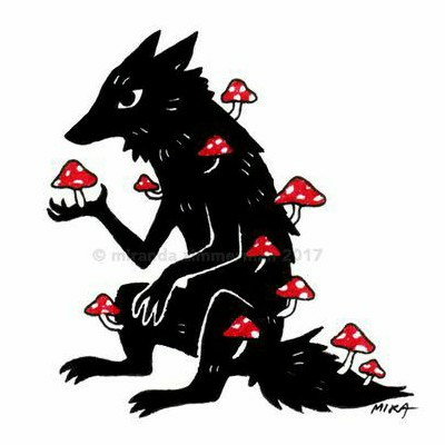 author-avatar