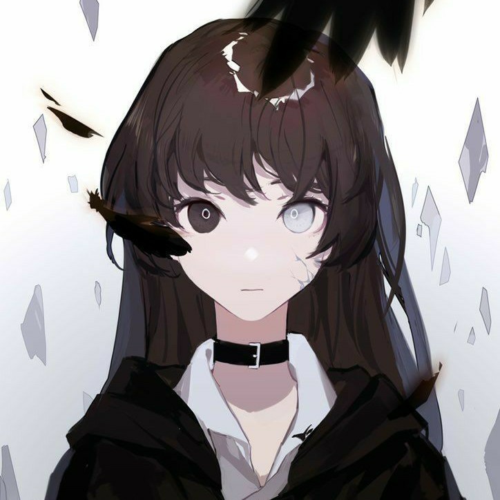 author-avatar