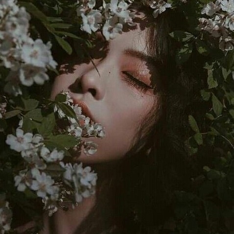 author-avatar
