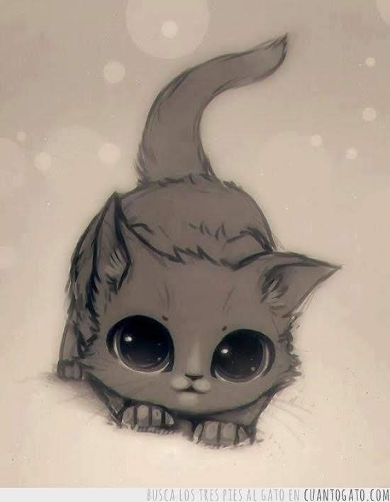 author-avatar