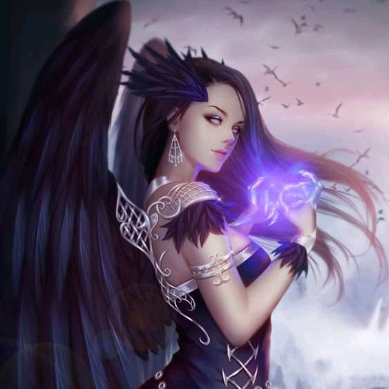 author-avatar