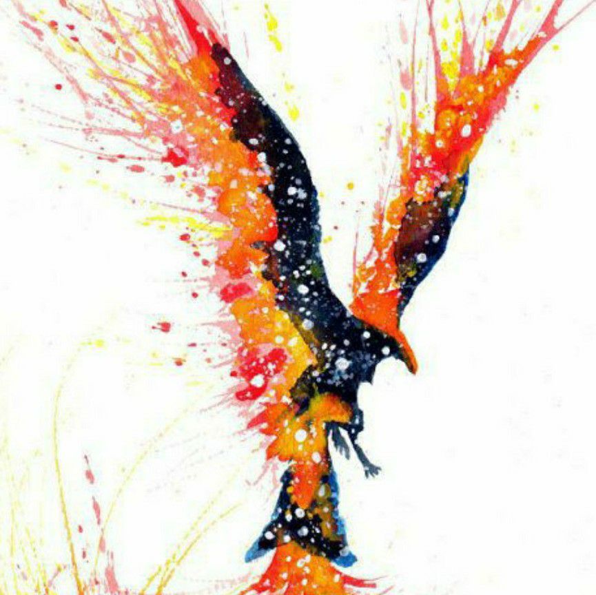 author-avatar
