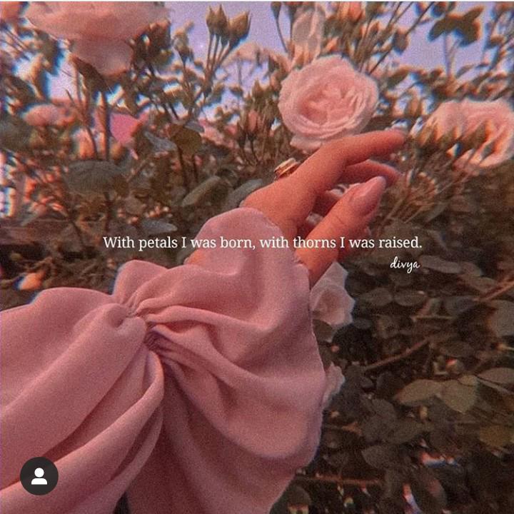 author-avatar